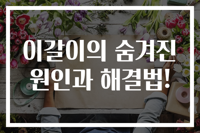 이갈이의 숨겨진 원인과 해결법!