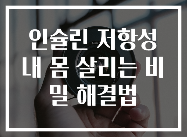 인슐린 저항성 내 몸 살리는 비밀 해결법