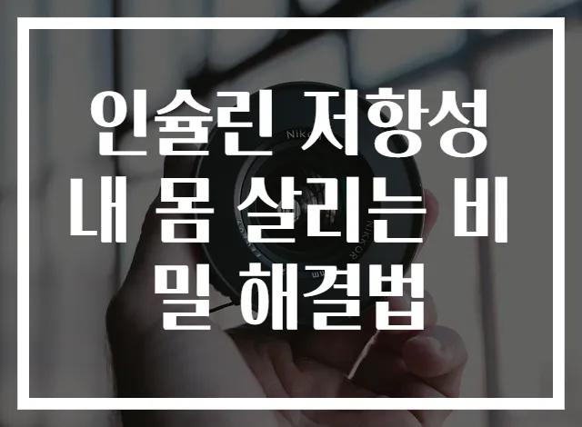인슐린 저항성 내 몸 살리는 비밀 해결법