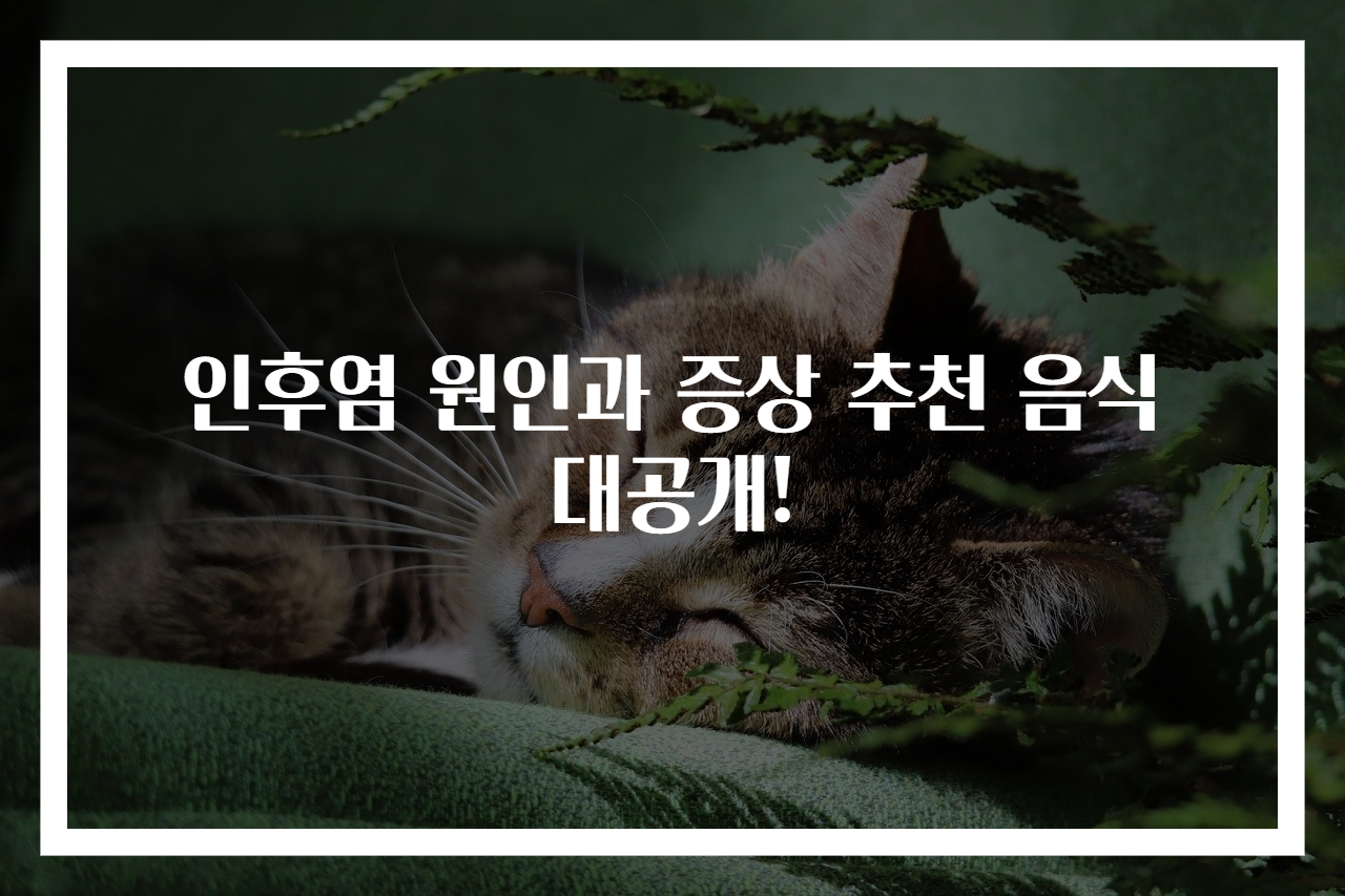 인후염 원인과 증상 추천 음식 대공개!