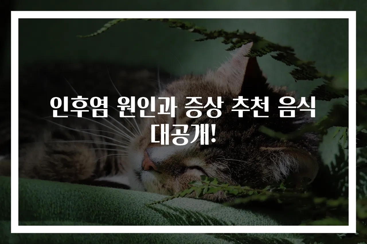 인후염 원인과 증상 추천 음식 대공개!