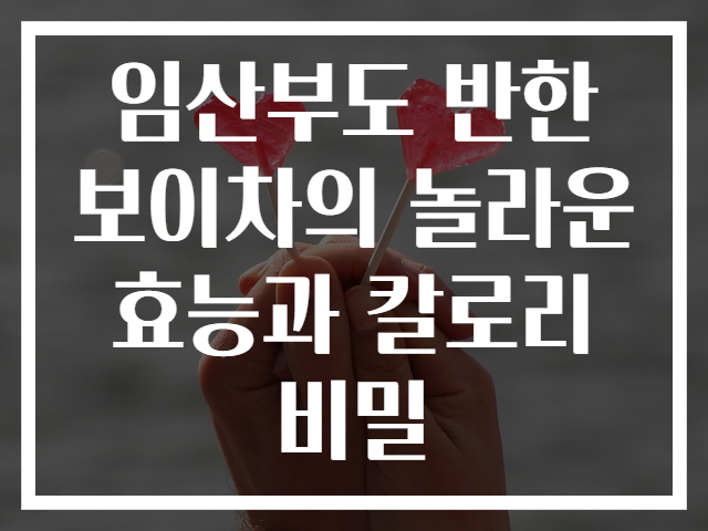 임산부도 반한 보이차의 놀라운 효능과 칼로리 비밀