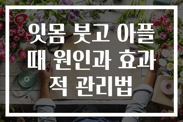 잇몸 붓고 아플 때 원인과 효과적 관리법