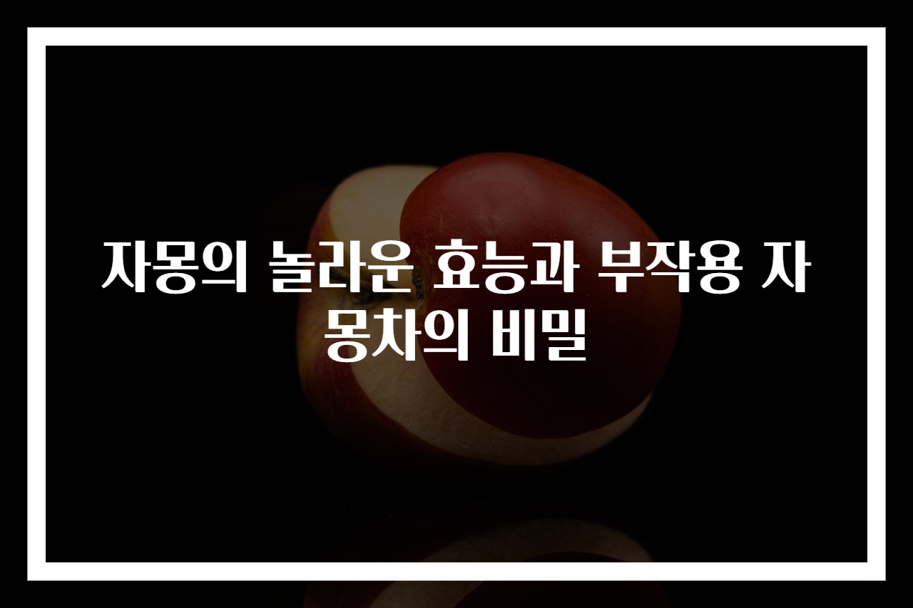 자몽의 놀라운 효능과 부작용 자몽차의 비밀