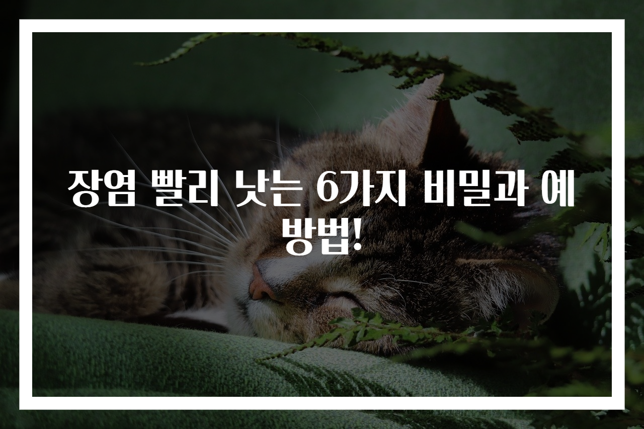 장염 빨리 낫는 6가지 비밀과 예방법!