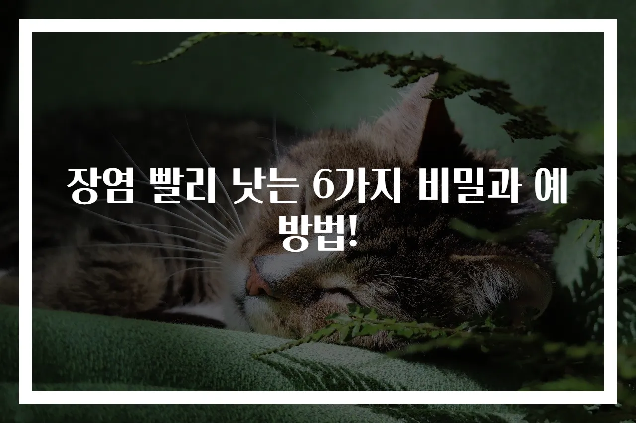 장염 빨리 낫는 6가지 비밀과 예방법!