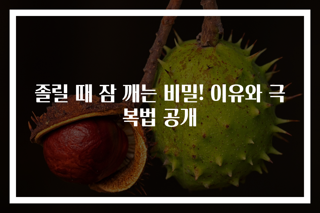졸릴 때 잠 깨는 비밀! 이유와 극복법 공개