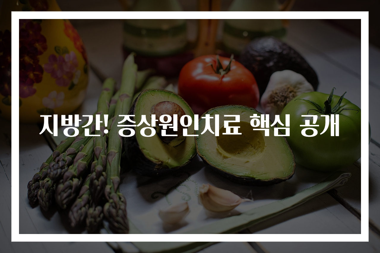 지방간! 증상원인치료 핵심 공개