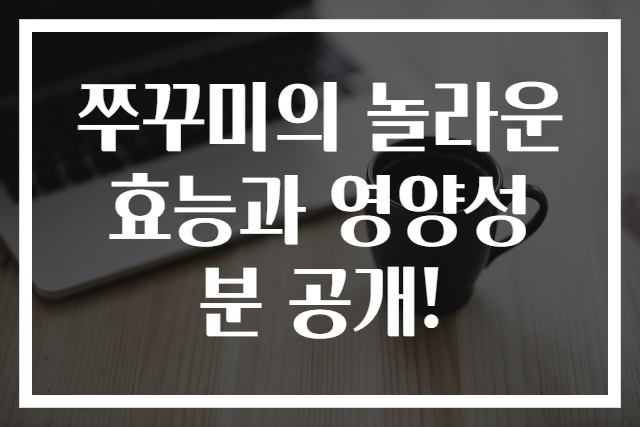 쭈꾸미의 놀라운 효능과 영양성분 공개!
