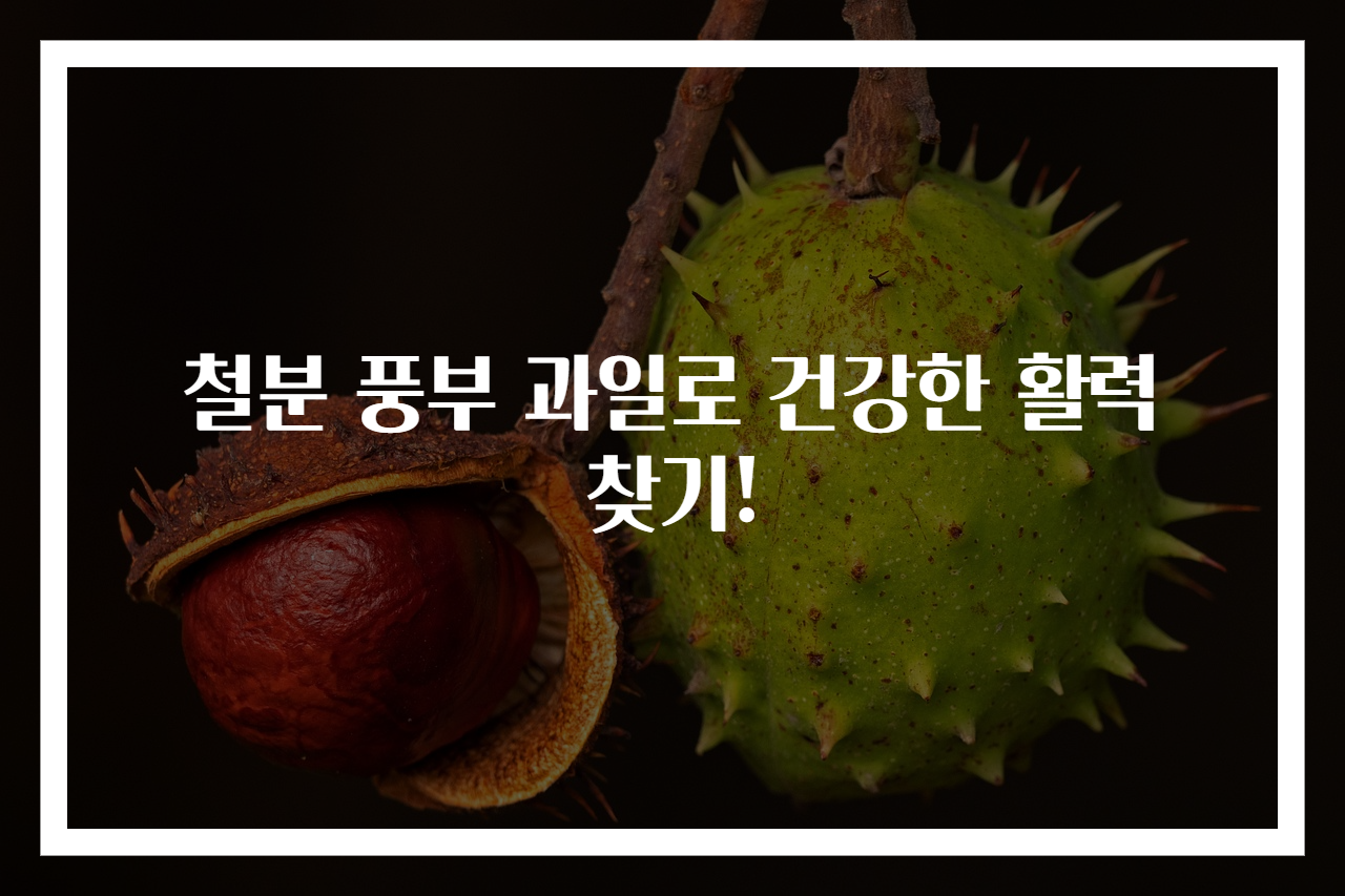 철분 풍부 과일로 건강한 활력 찾기!