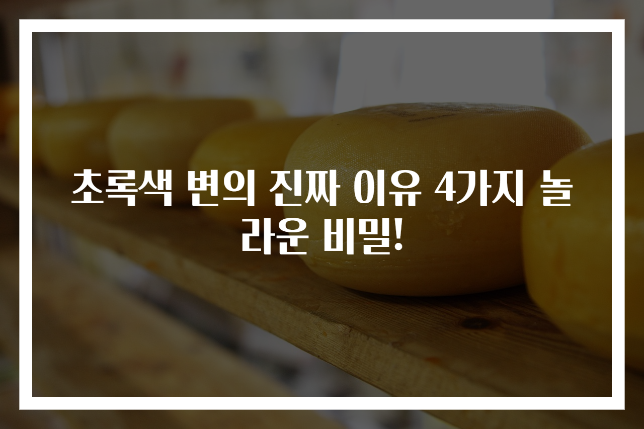 초록색 변의 진짜 이유 4가지 놀라운 비밀!