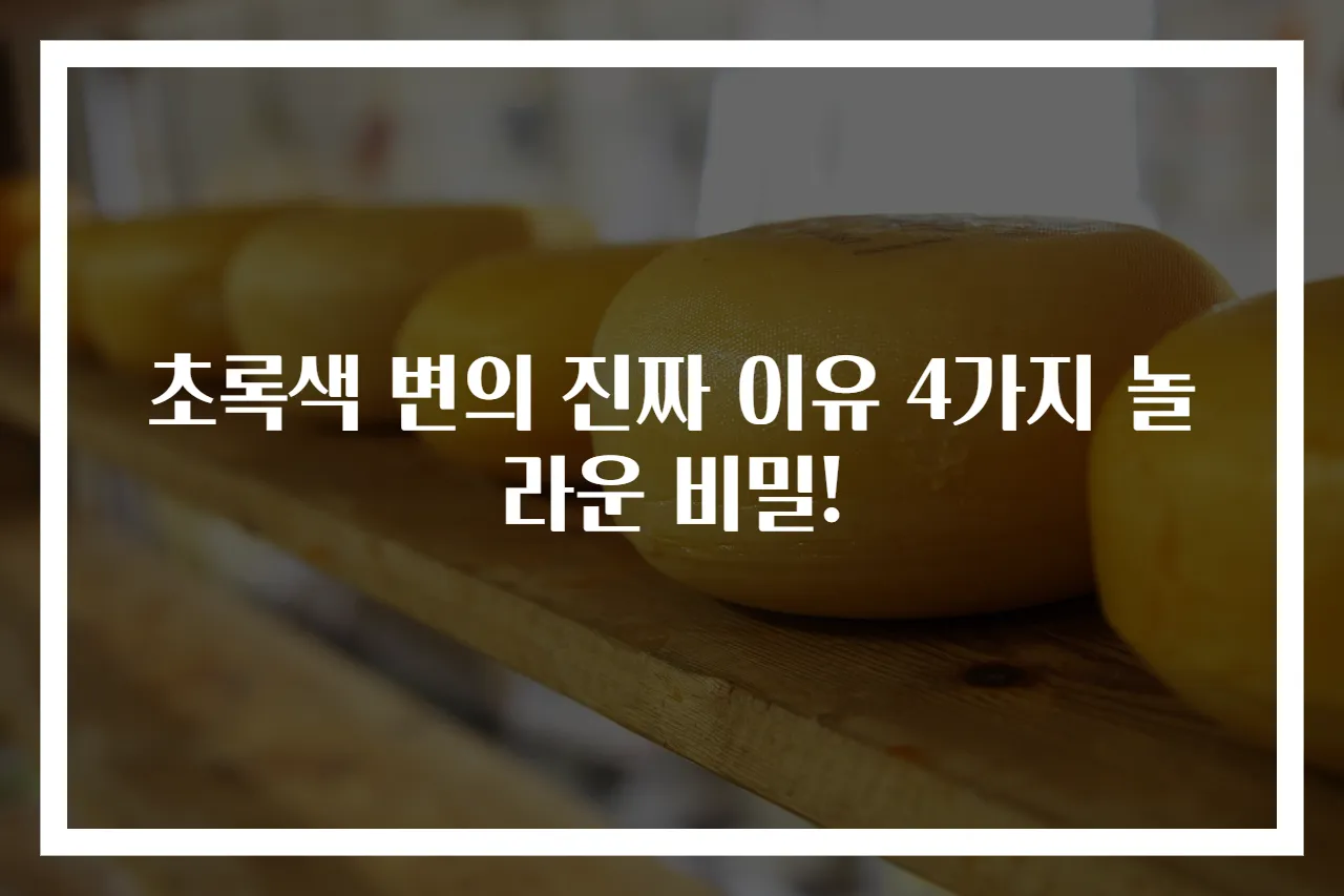 초록색 변의 진짜 이유 4가지 놀라운 비밀!