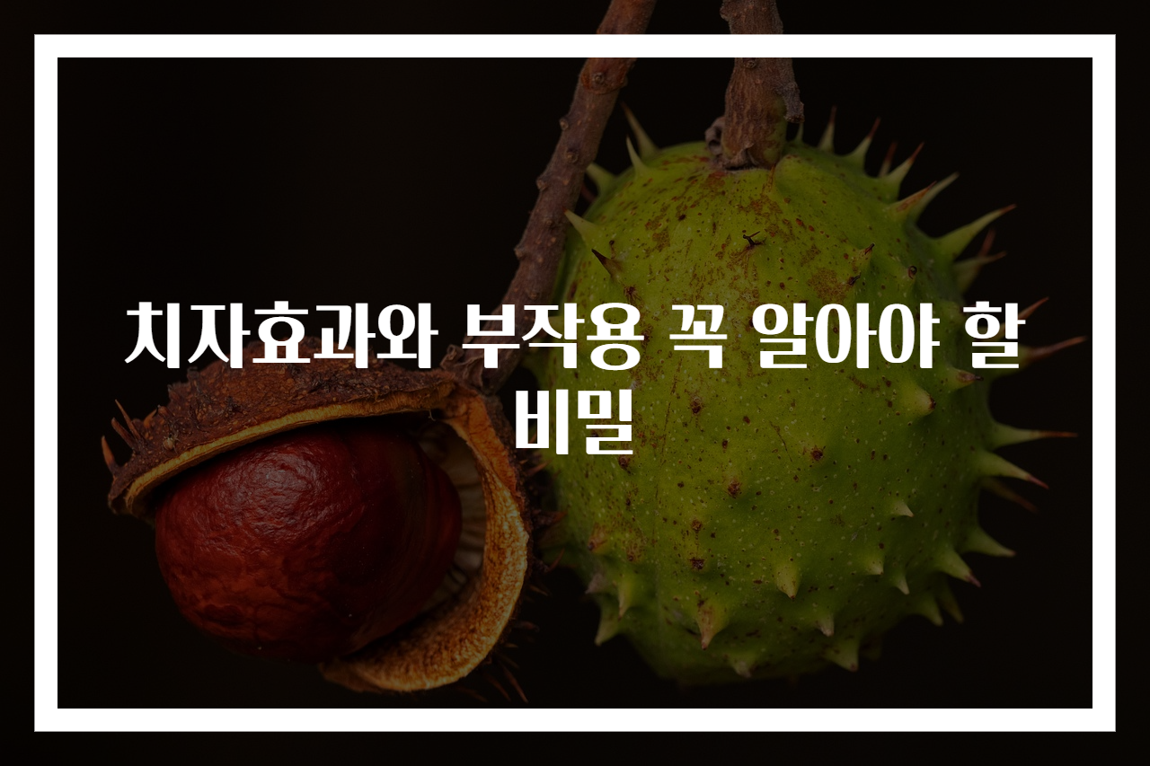 치자효과와 부작용 꼭 알아야 할 비밀