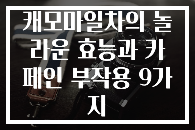 캐모마일차의 놀라운 효능과 카페인 부작용 9가지