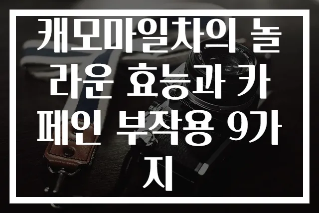 캐모마일차의 놀라운 효능과 카페인 부작용 9가지