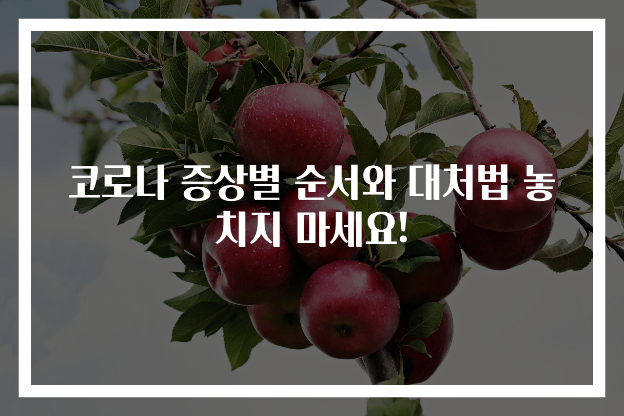 코로나 증상별 순서와 대처법 놓치지 마세요!