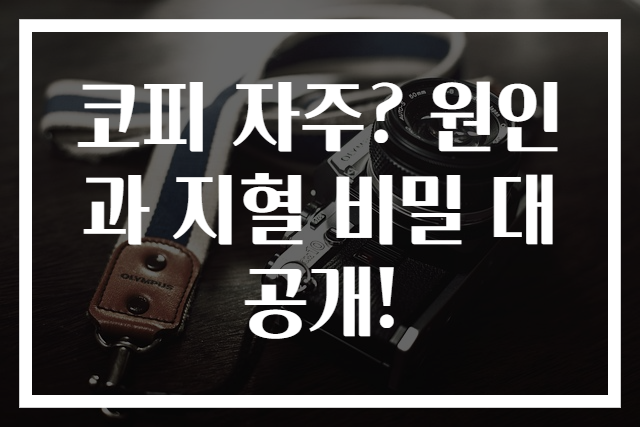 코피 자주? 원인과 지혈 비밀 대공개!