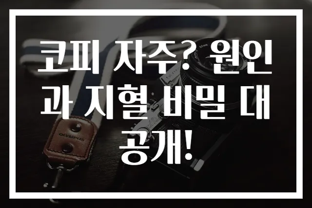 코피 자주? 원인과 지혈 비밀 대공개!