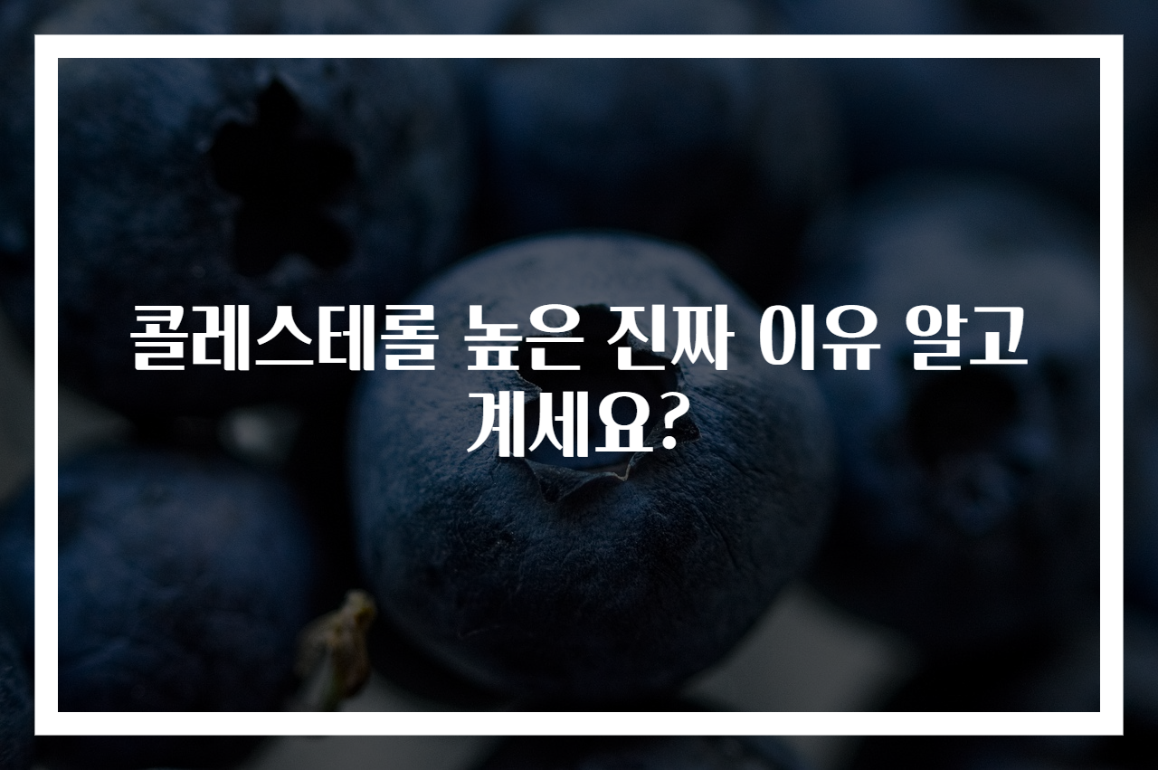 콜레스테롤 높은 진짜 이유 알고 계세요?