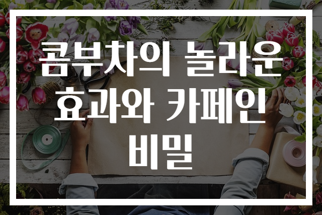 콤부차의 놀라운 효과와 카페인 비밀