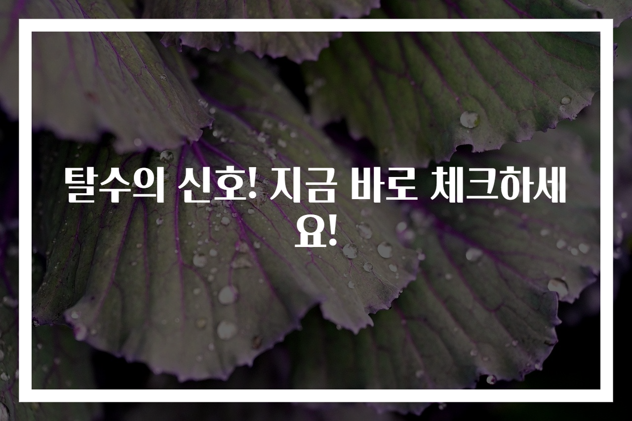탈수의 신호! 지금 바로 체크하세요!