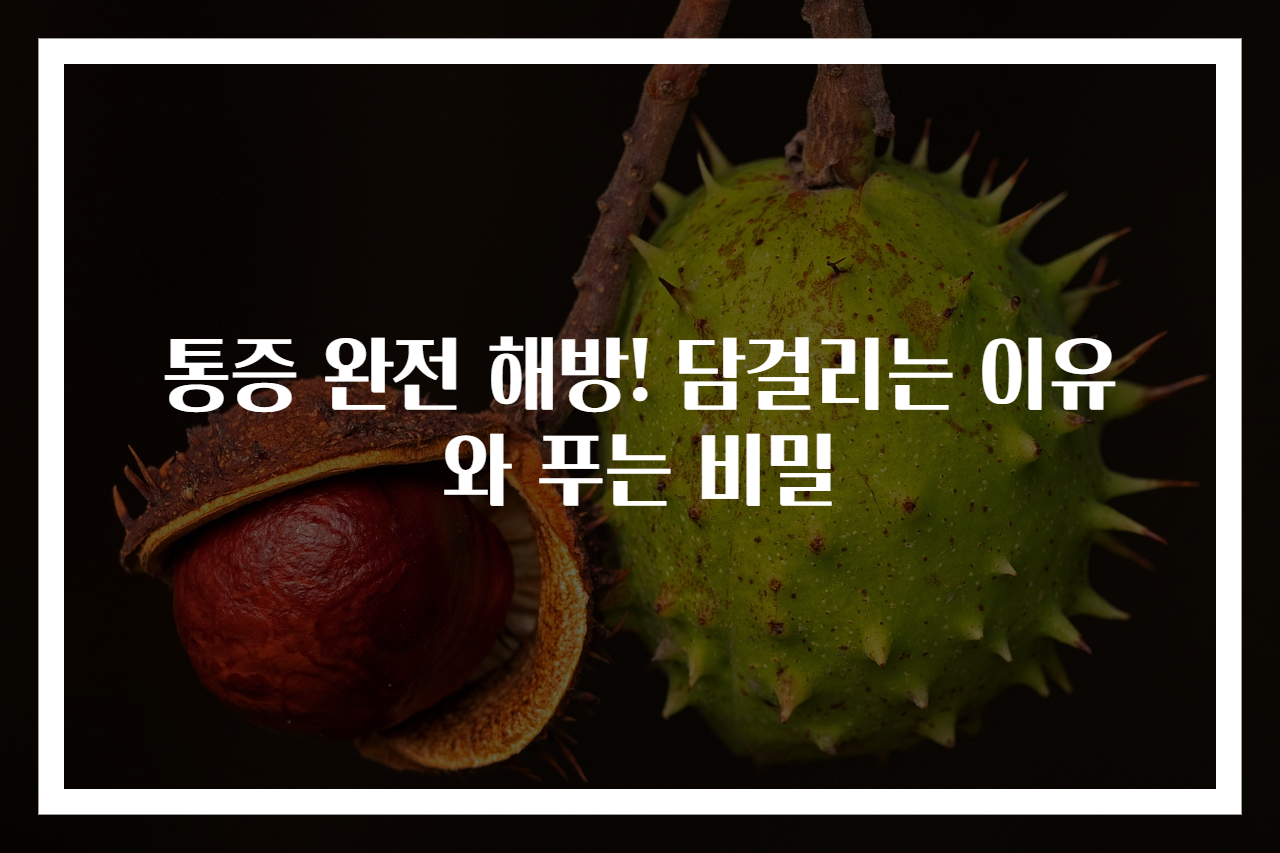 통증 완전 해방! 담걸리는 이유와 푸는 비밀