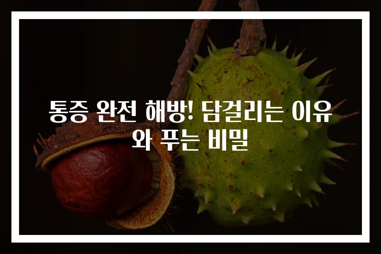 통증 완전 해방! 담걸리는 이유와 푸는 비밀