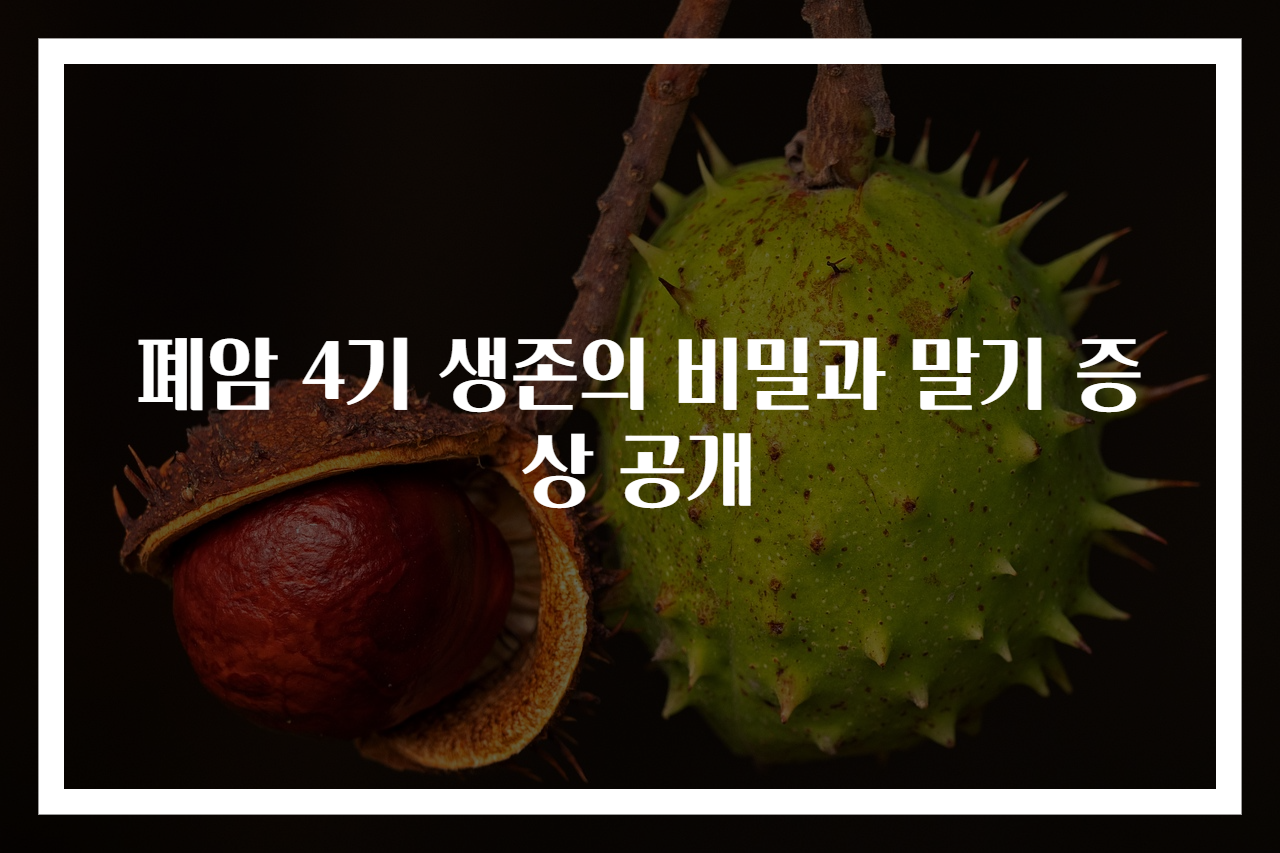 폐암 4기 생존의 비밀과 말기 증상 공개