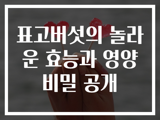 표고버섯의 놀라운 효능과 영양비밀 공개