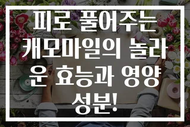 피로 풀어주는 캐모마일의 놀라운 효능과 영양성분!