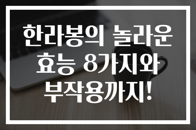 한라봉의 놀라운 효능 8가지와 부작용까지!