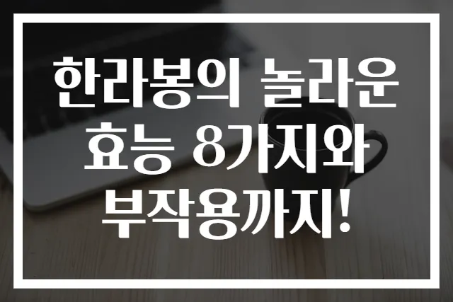 한라봉의 놀라운 효능 8가지와 부작용까지!