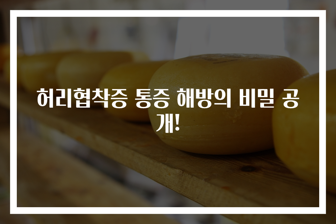 허리협착증 통증 해방의 비밀 공개!