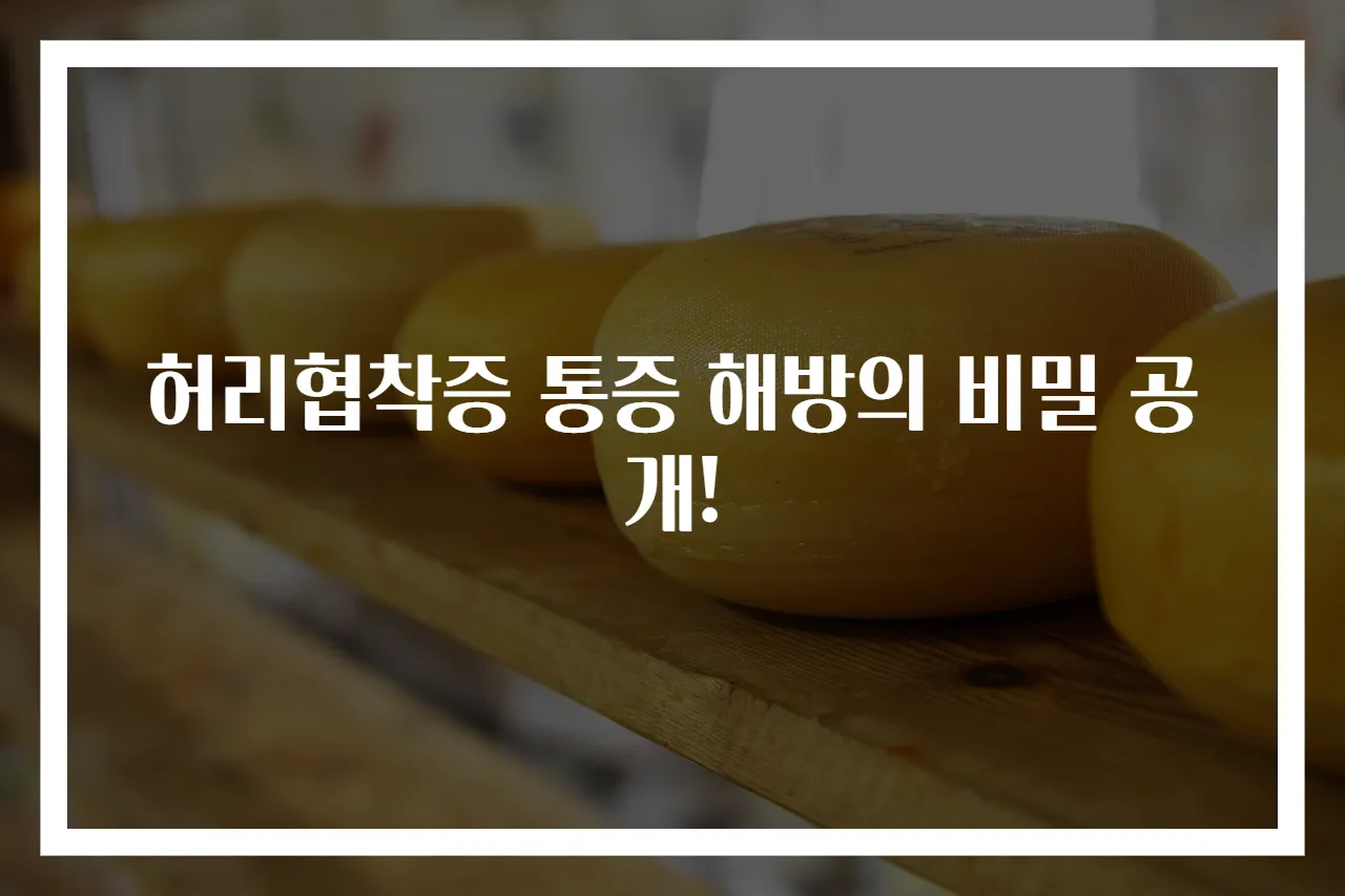 허리협착증 통증 해방의 비밀 공개!