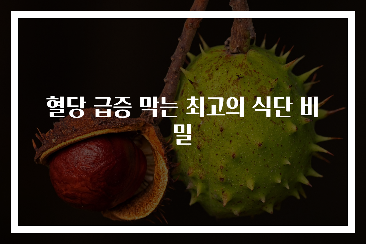 혈당 급증 막는 최고의 식단 비밀
