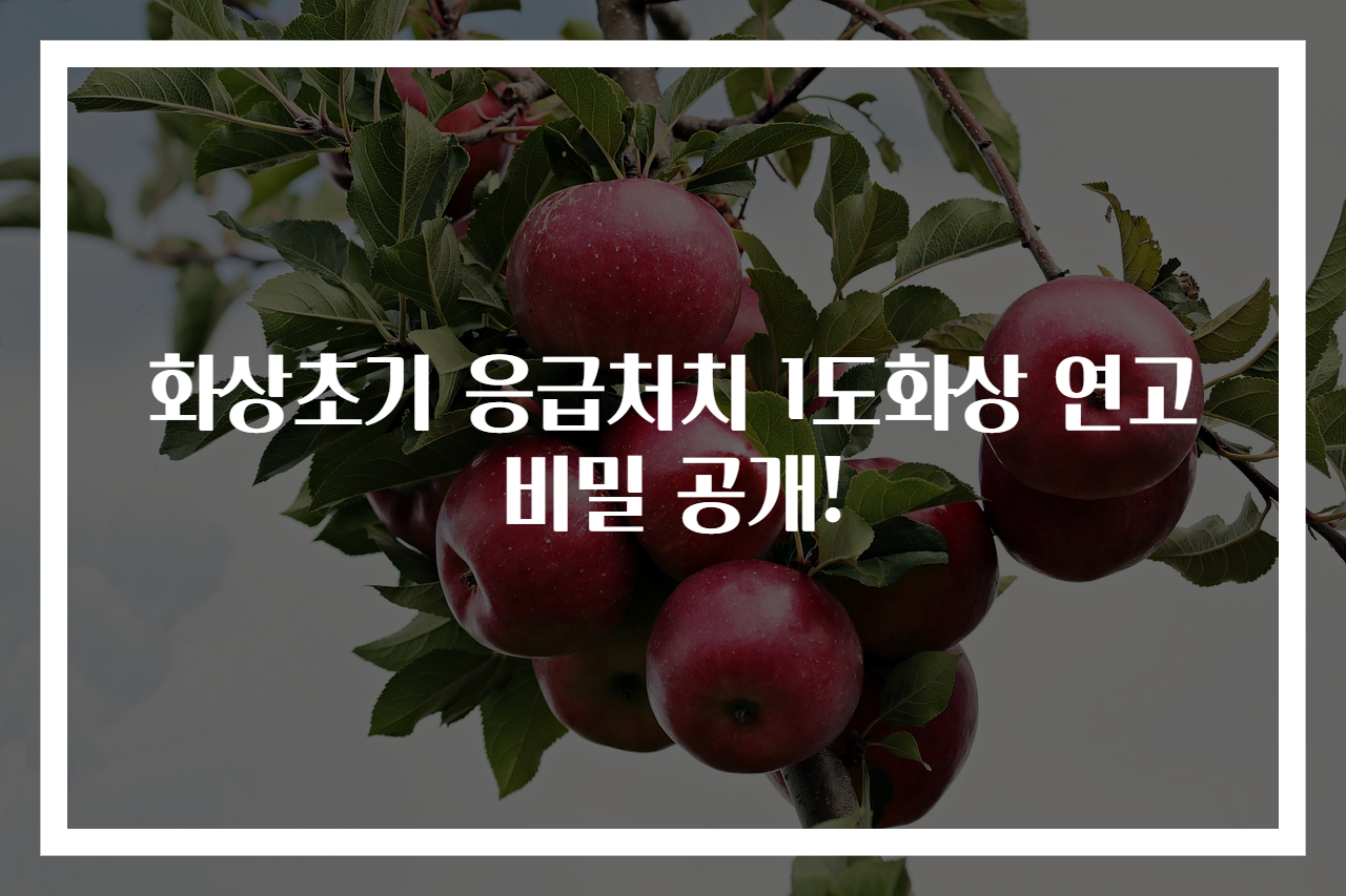 화상초기 응급처치 1도화상 연고 비밀 공개!