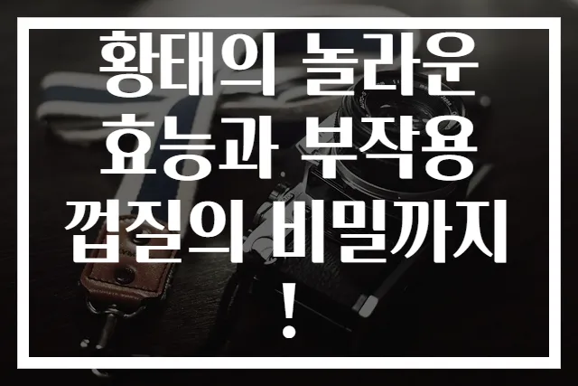 황태의 놀라운 효능과 부작용 껍질의 비밀까지!