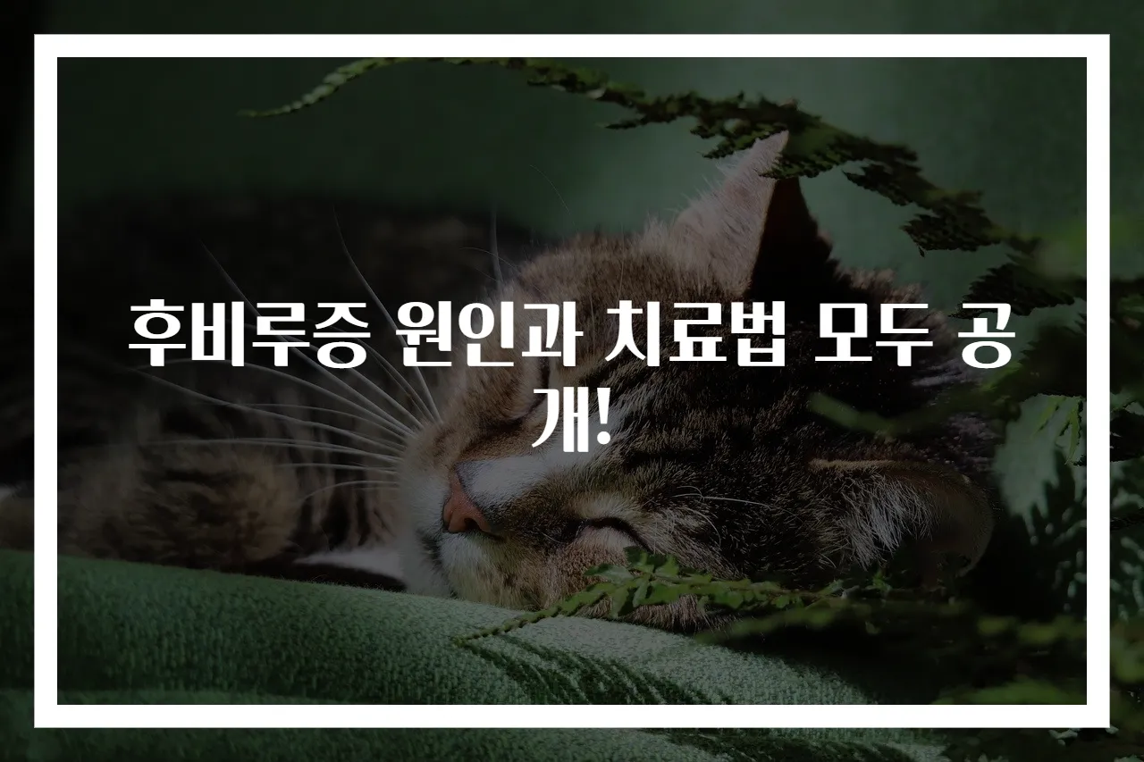 후비루증 원인과 치료법 모두 공개!