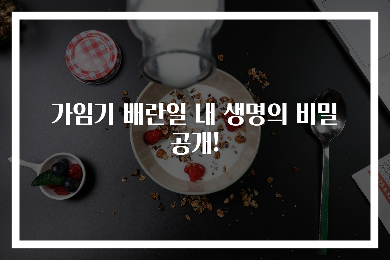 가임기 배란일 내 생명의 비밀 공개!