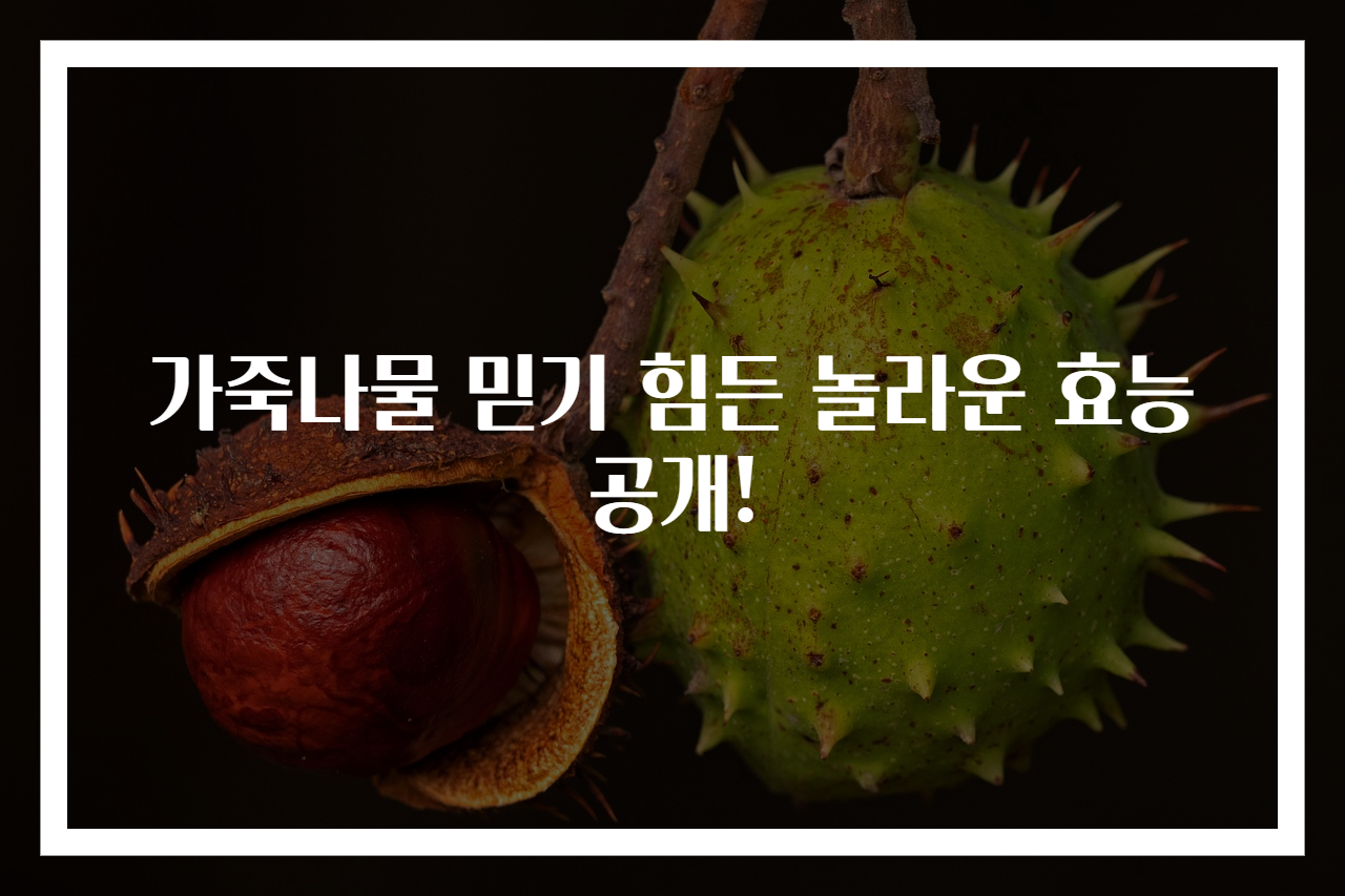 가죽나물 믿기 힘든 놀라운 효능 공개!