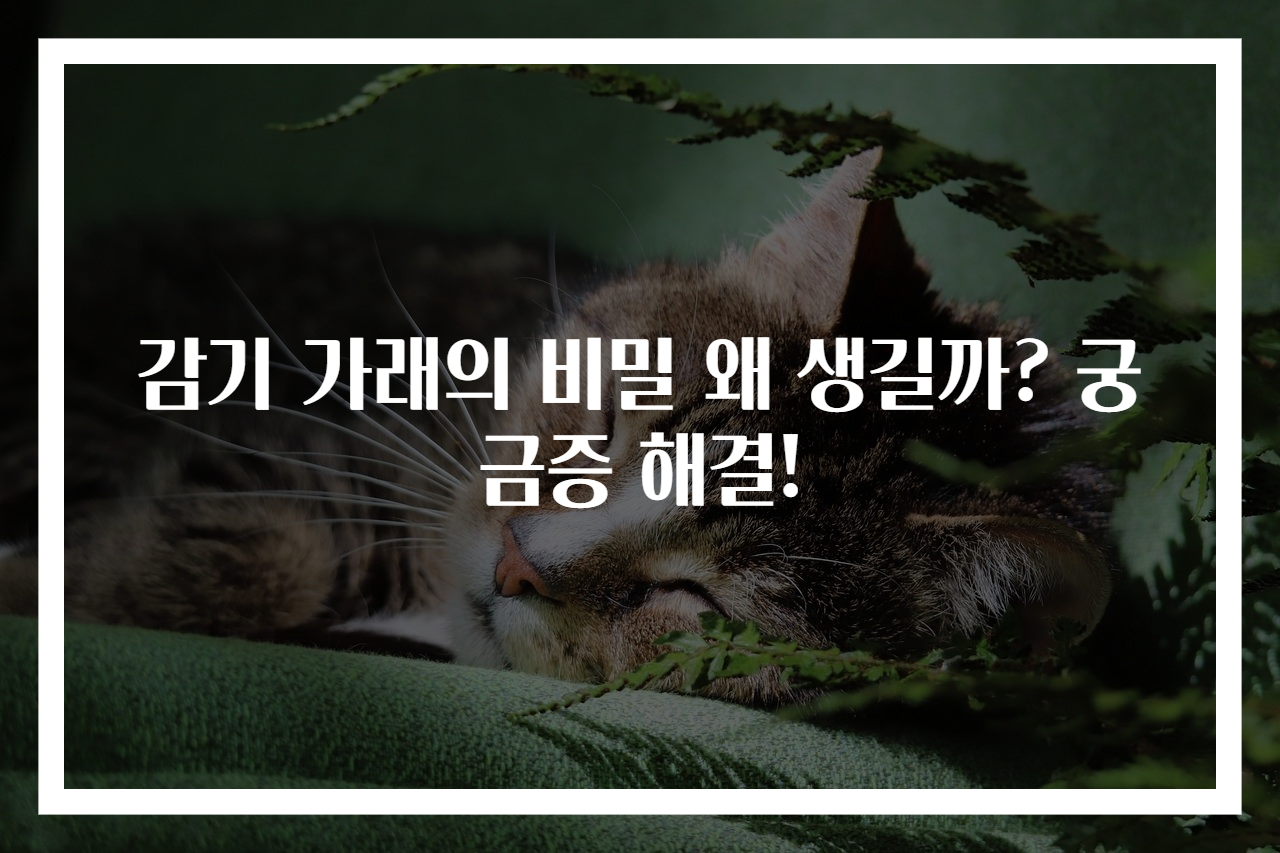 감기 가래의 비밀 왜 생길까? 궁금증 해결!