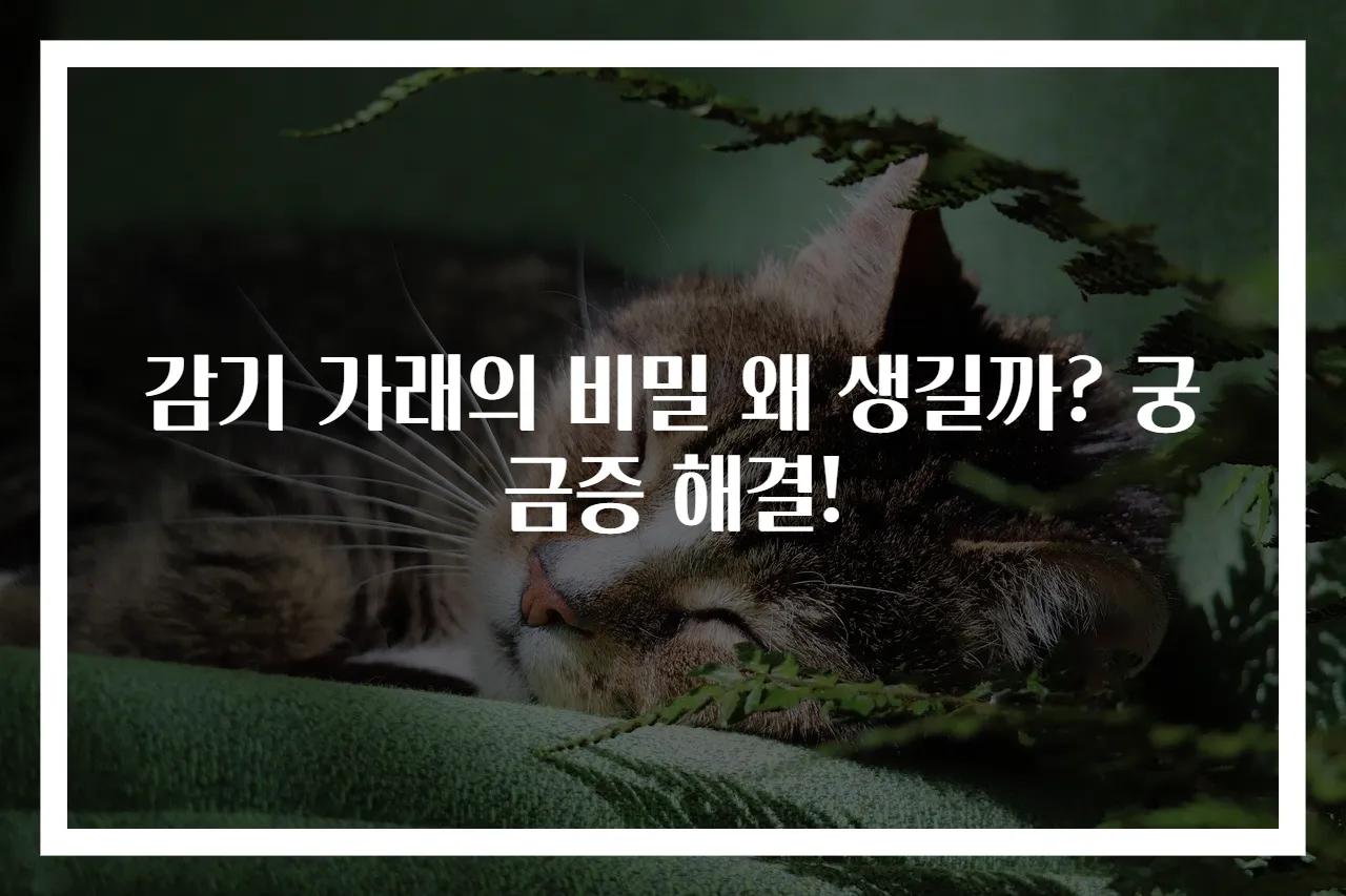 감기 가래의 비밀 왜 생길까? 궁금증 해결!