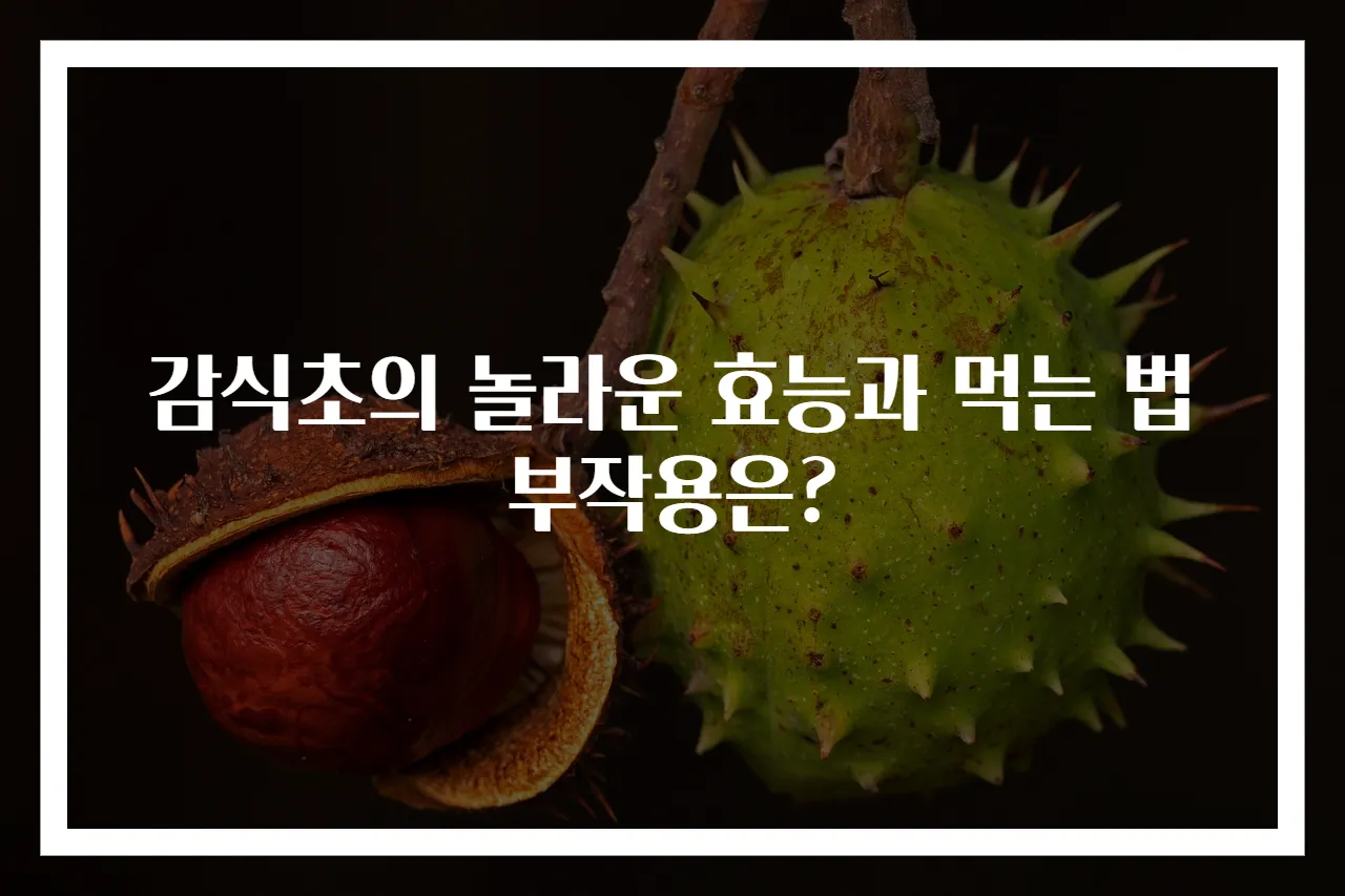 감식초의 놀라운 효능과 먹는 법 부작용은?