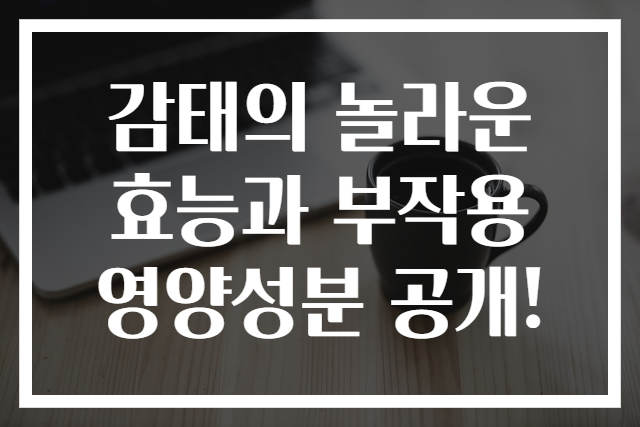 감태의 놀라운 효능과 부작용 영양성분 공개!