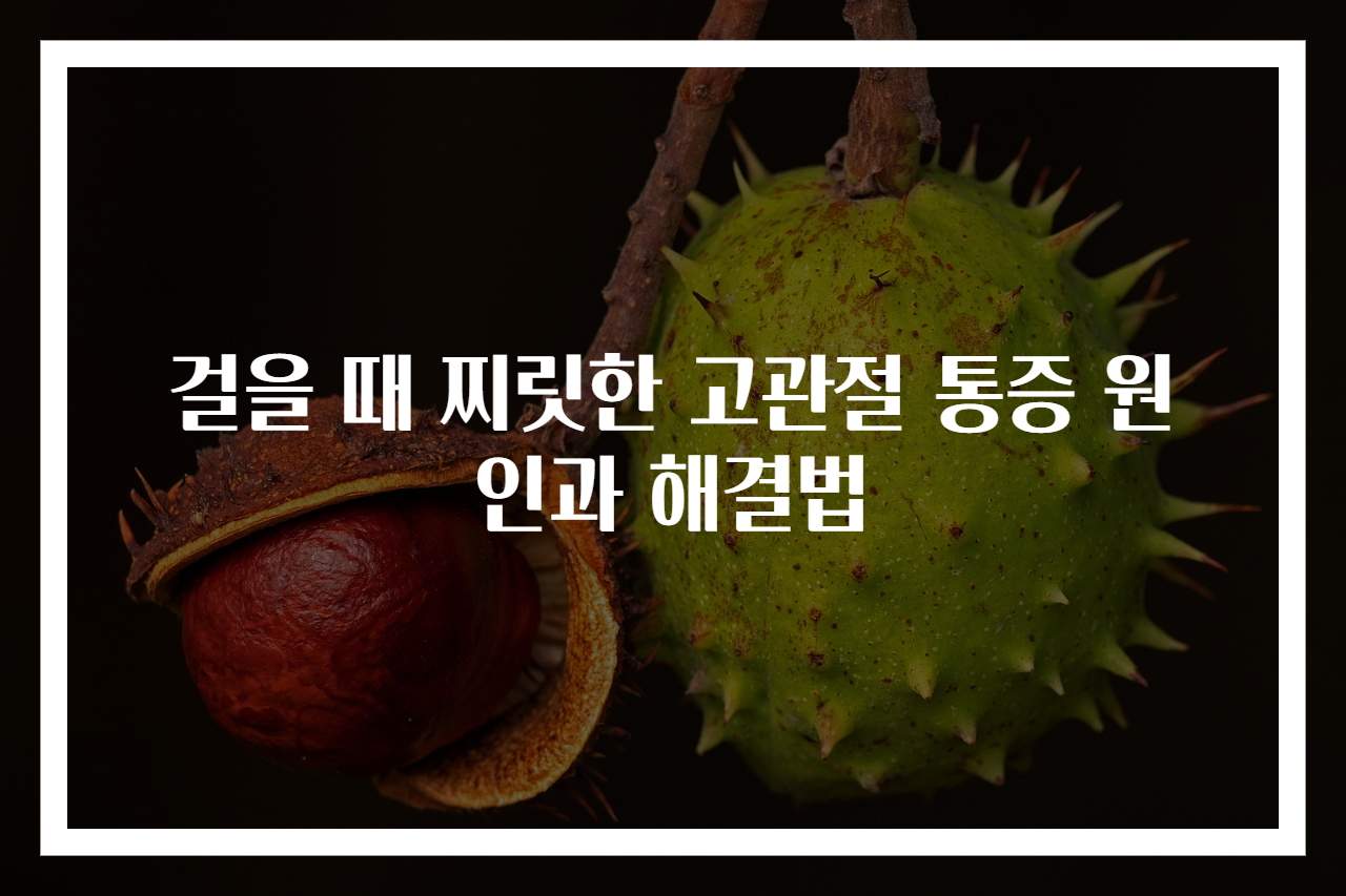 걸을 때 찌릿한 고관절 통증 원인과 해결법