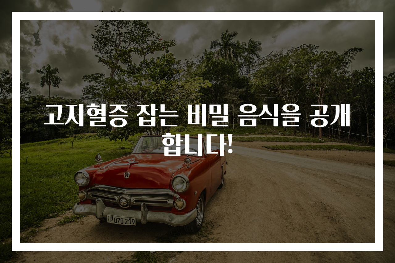 고지혈증 잡는 비밀 음식을 공개합니다!