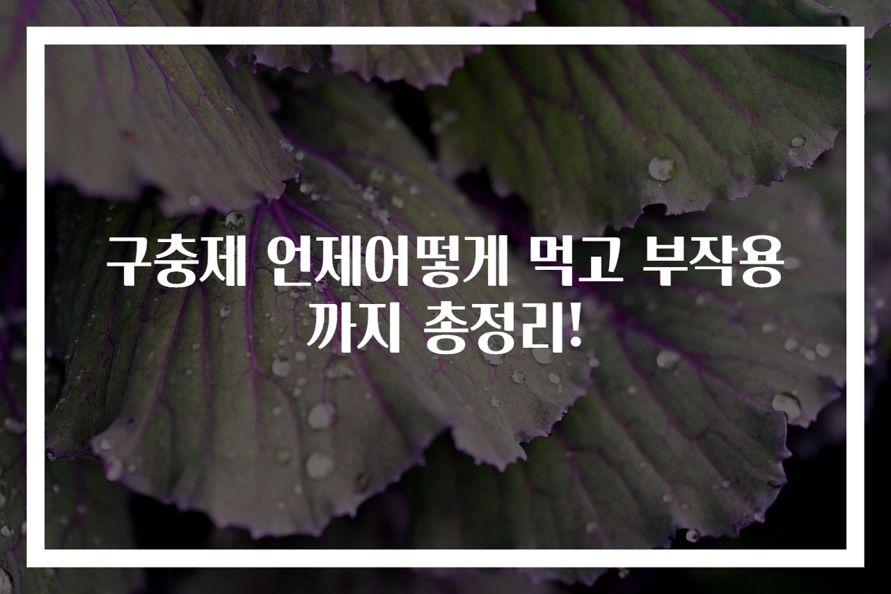 구충제 언제어떻게 먹고 부작용까지 총정리!