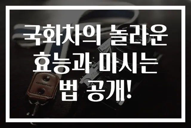 국화차의 놀라운 효능과 마시는 법 공개!