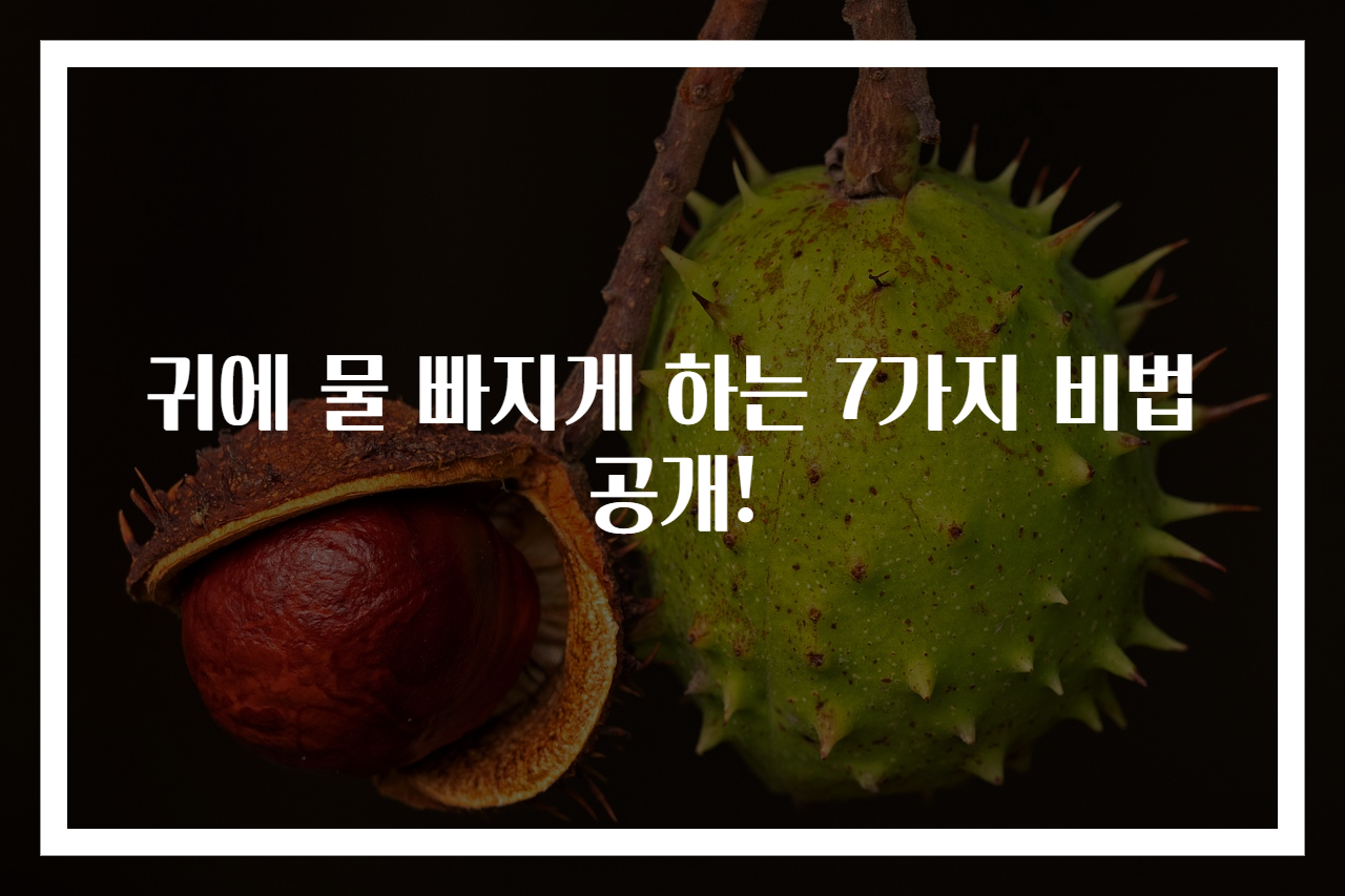 귀에 물 빠지게 하는 7가지 비법 공개!