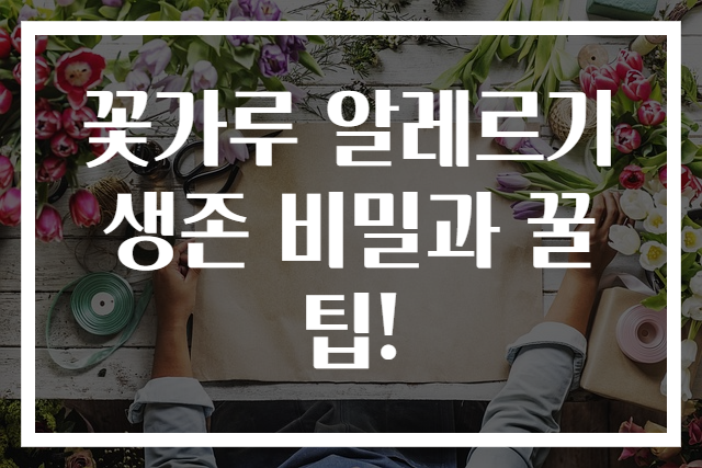 꽃가루 알레르기 생존 비밀과 꿀팁!